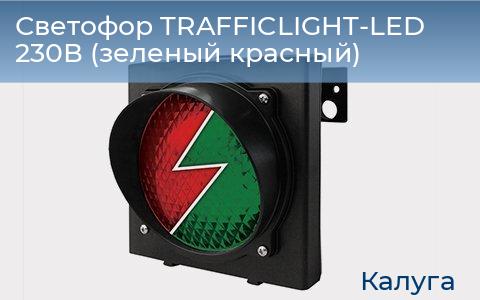 Светофор TRAFFICLIGHT-LED 230В (зеленый+красный), kaluga.doorhan.ru