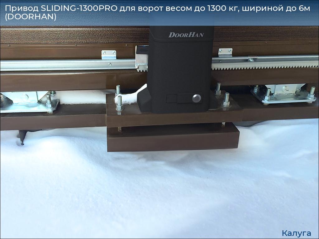 Привод SLIDING-1300PRO для ворот весом до 1300 кг, шириной до 6м (DOORHAN), kaluga.doorhan.ru