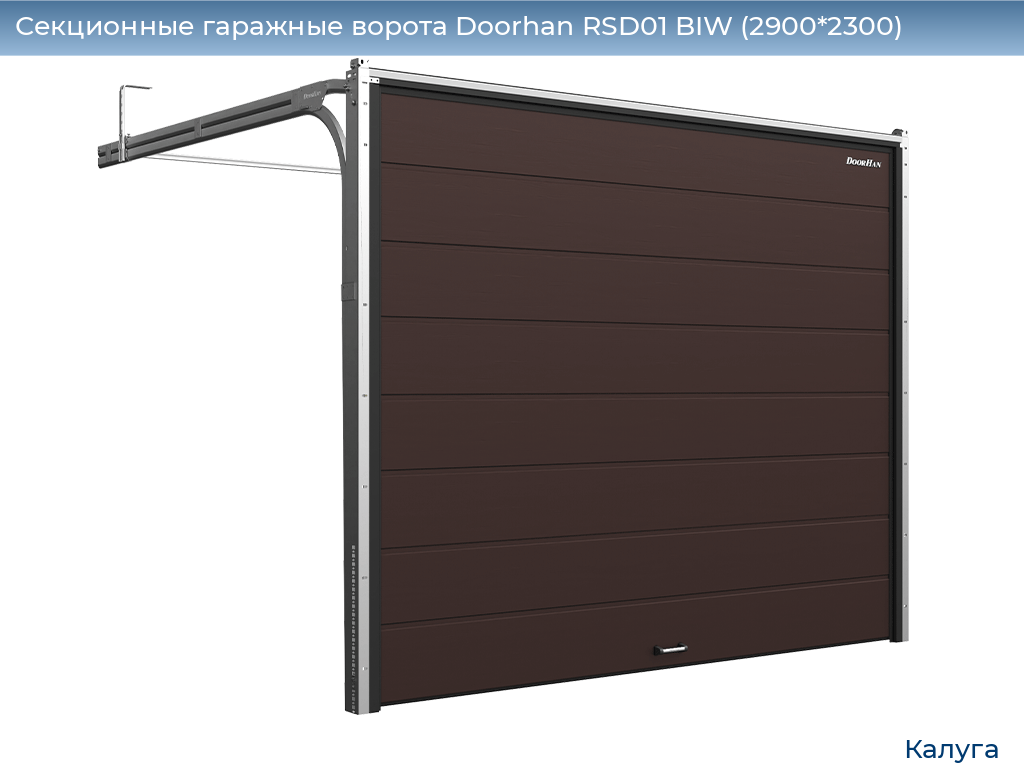 Секционные гаражные ворота Doorhan RSD01 BIW (2900*2300), kaluga.doorhan.ru
