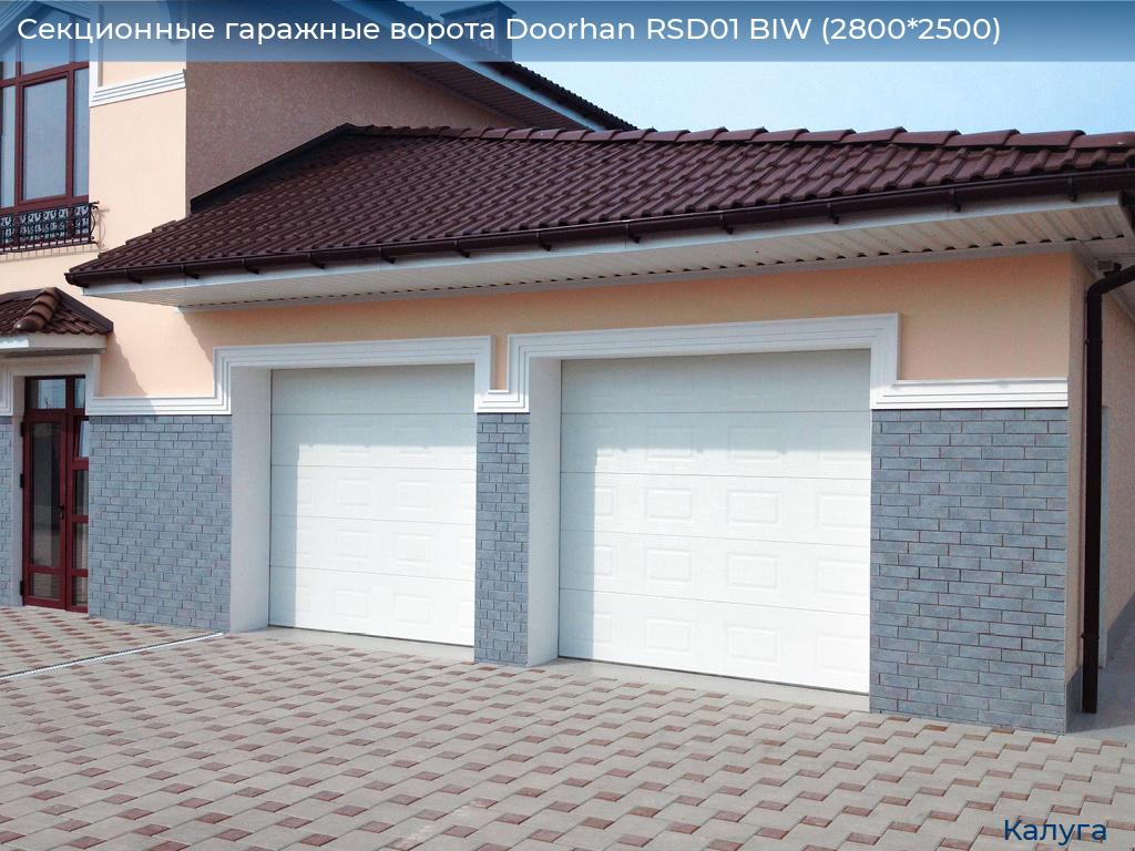 Секционные гаражные ворота Doorhan RSD01 BIW (2800*2500), kaluga.doorhan.ru