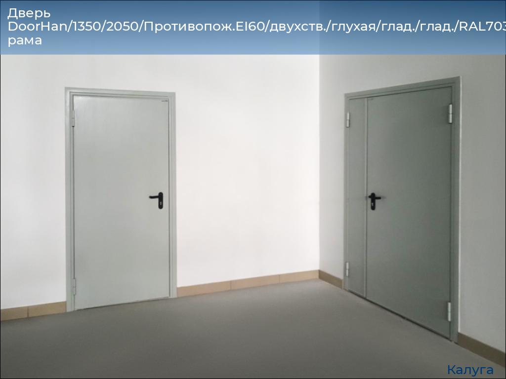 Дверь DoorHan/1350/2050/Противопож.EI60/двухств./глухая/глад./глад./RAL7035/прав./угл. рама, kaluga.doorhan.ru