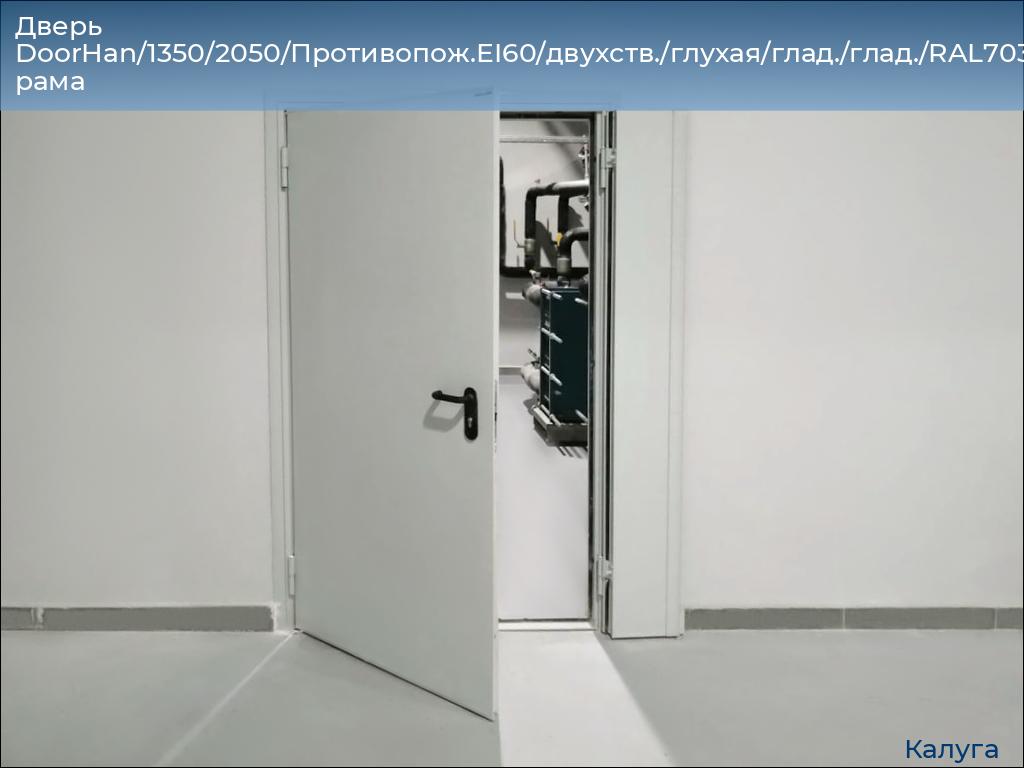 Дверь DoorHan/1350/2050/Противопож.EI60/двухств./глухая/глад./глад./RAL7035/лев./угл. рама, kaluga.doorhan.ru