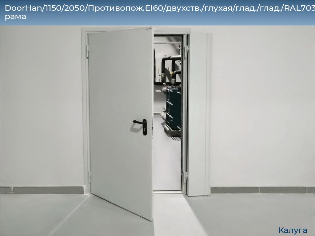 DoorHan/1150/2050/Противопож.EI60/двухств./глухая/глад./глад./RAL7035/лев./угл. рама, kaluga.doorhan.ru