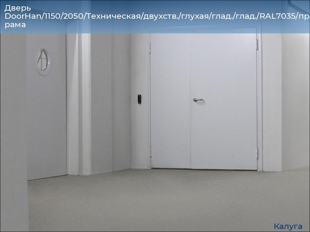 Дверь DoorHan/1150/2050/Техническая/двухств./глухая/глад./глад./RAL7035/прав./угл. рама, kaluga.doorhan.ru