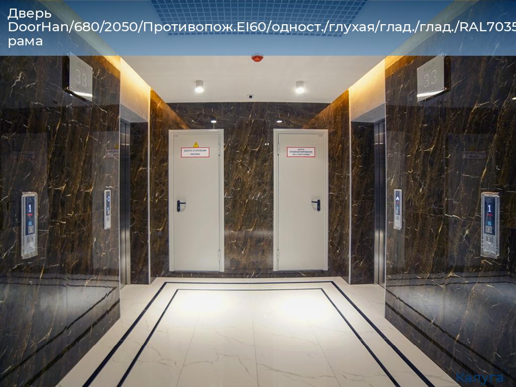 Дверь DoorHan/680/2050/Противопож.EI60/одност./глухая/глад./глад./RAL7035/лев./угл. рама, kaluga.doorhan.ru