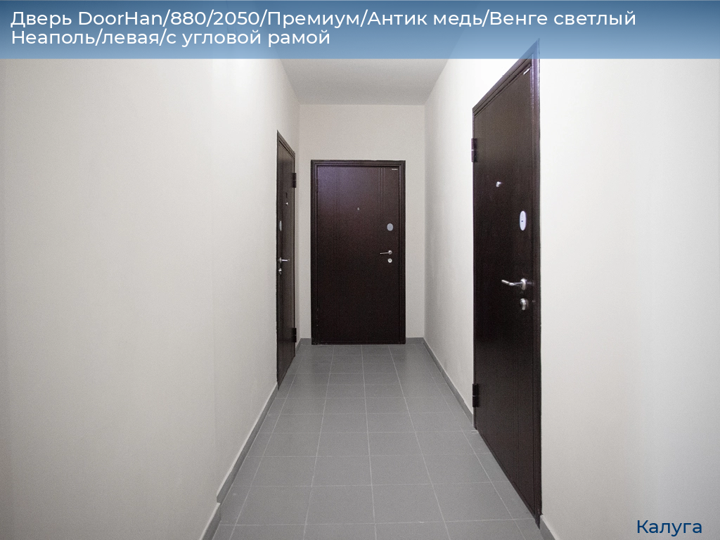 Дверь DoorHan/880/2050/Премиум/Антик медь/Венге светлый Неаполь/левая/с угловой рамой, kaluga.doorhan.ru