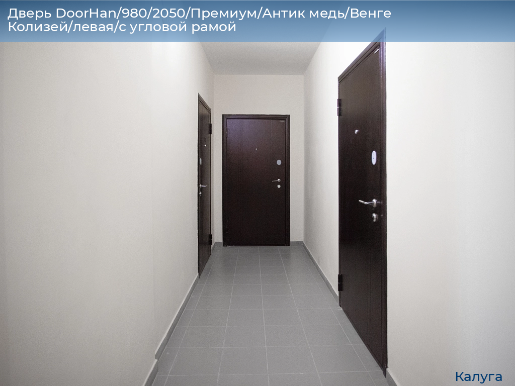 Дверь DoorHan/980/2050/Премиум/Антик медь/Венге Колизей/левая/с угловой рамой, kaluga.doorhan.ru