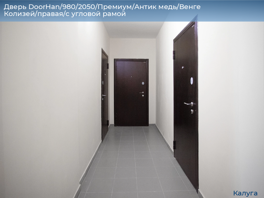 Дверь DoorHan/980/2050/Премиум/Антик медь/Венге Колизей/правая/с угловой рамой, kaluga.doorhan.ru